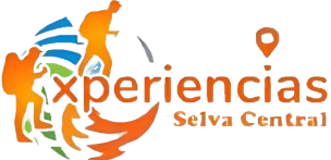 experienciasselvacentral.com